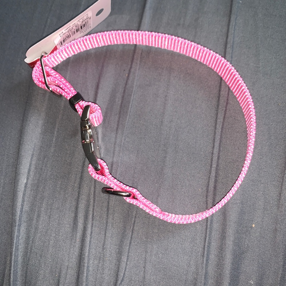 Pink Dog collar